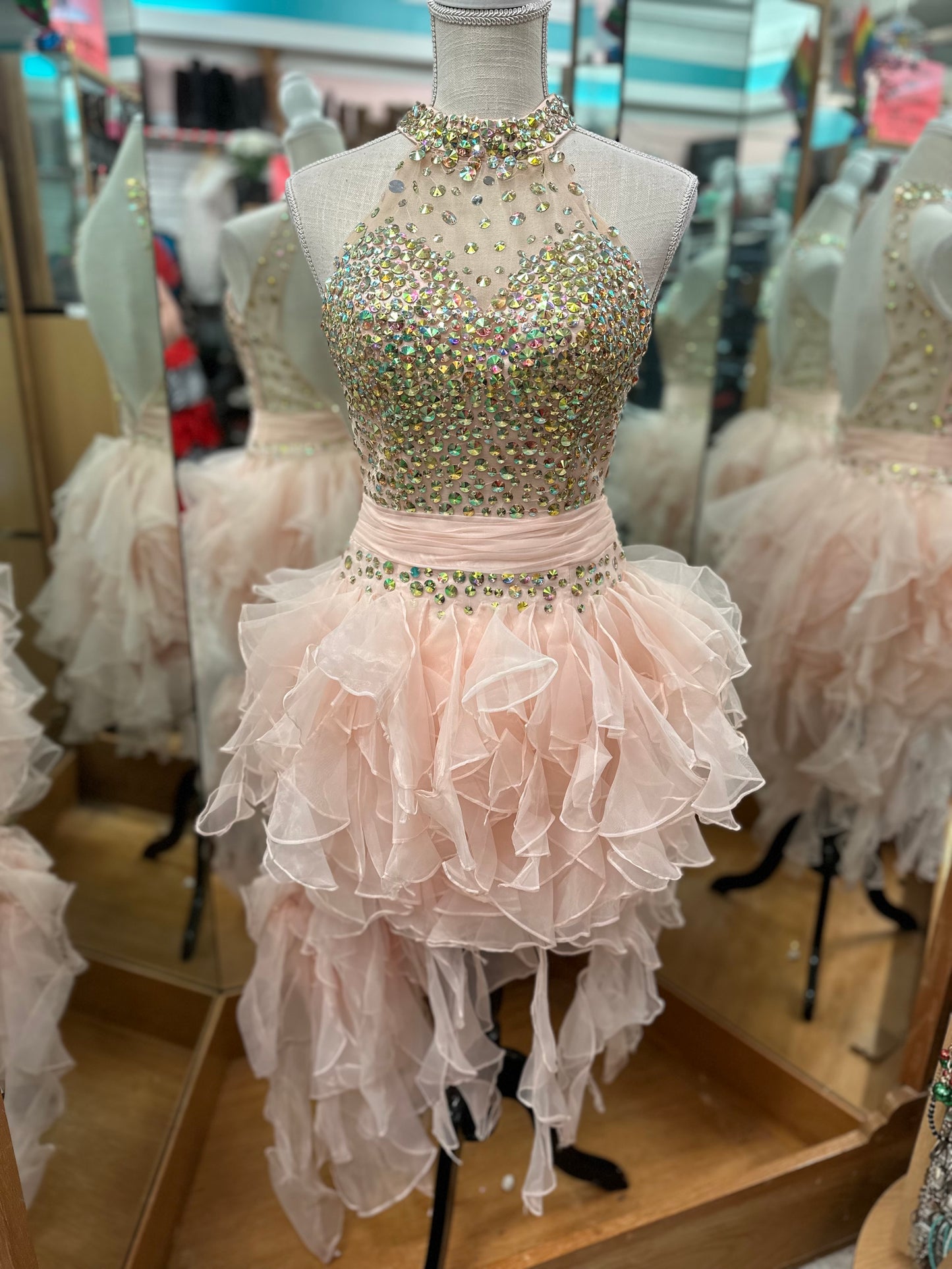 Cinderella Blush Hi-Low Gown in 4