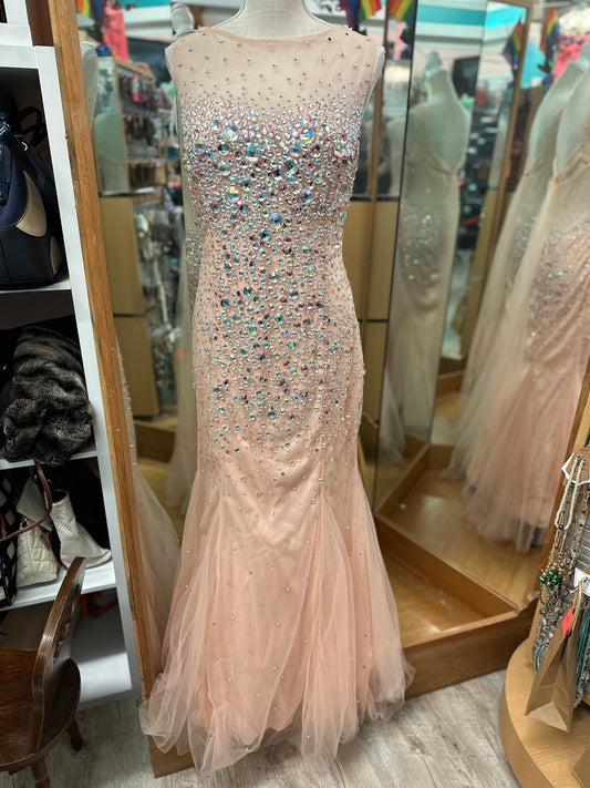 Anny Lee Pink Sparkly Mermaid Gown in XL